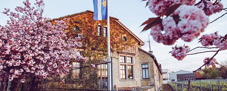 Winzerverein Deidesheim